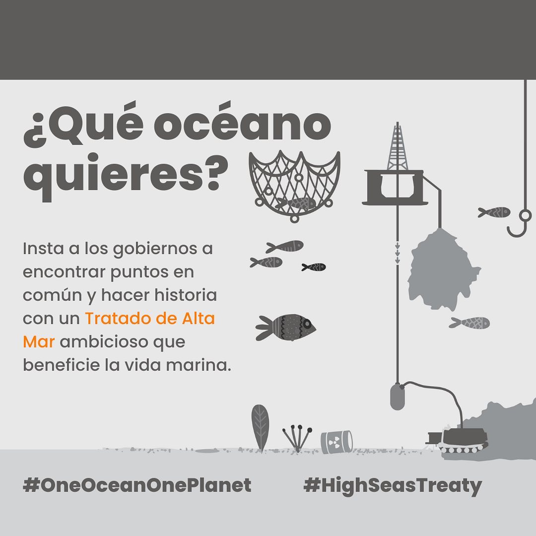 ¿Sabías que aproximadamente solo el 1,2 % de la alta mar está protegida?